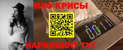индика Гатчина