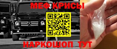 индика Гатчина