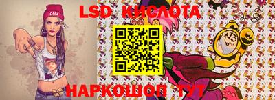 индика Гатчина