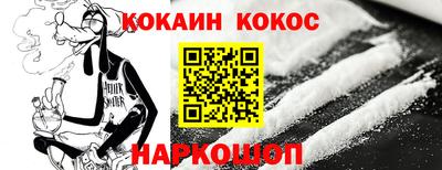 индика Гатчина