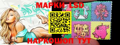 индика Гатчина