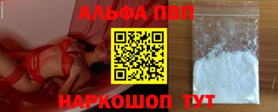 индика Гатчина