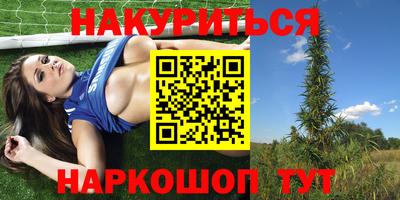 индика Гатчина