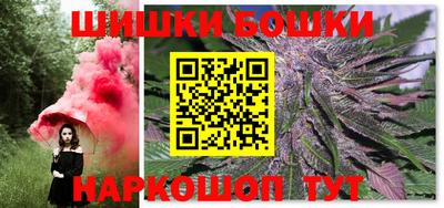 индика Гатчина
