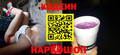 индика Гатчина