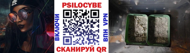Псилоцибиновые грибы ЛСД  как найти наркотики  Санкт-Петербург 